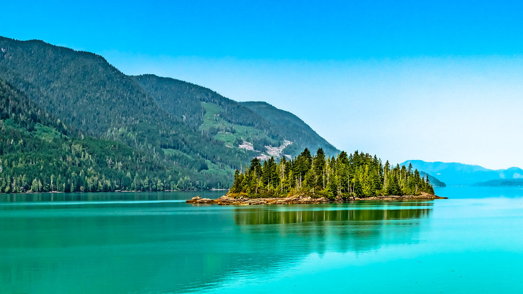 Port Alice