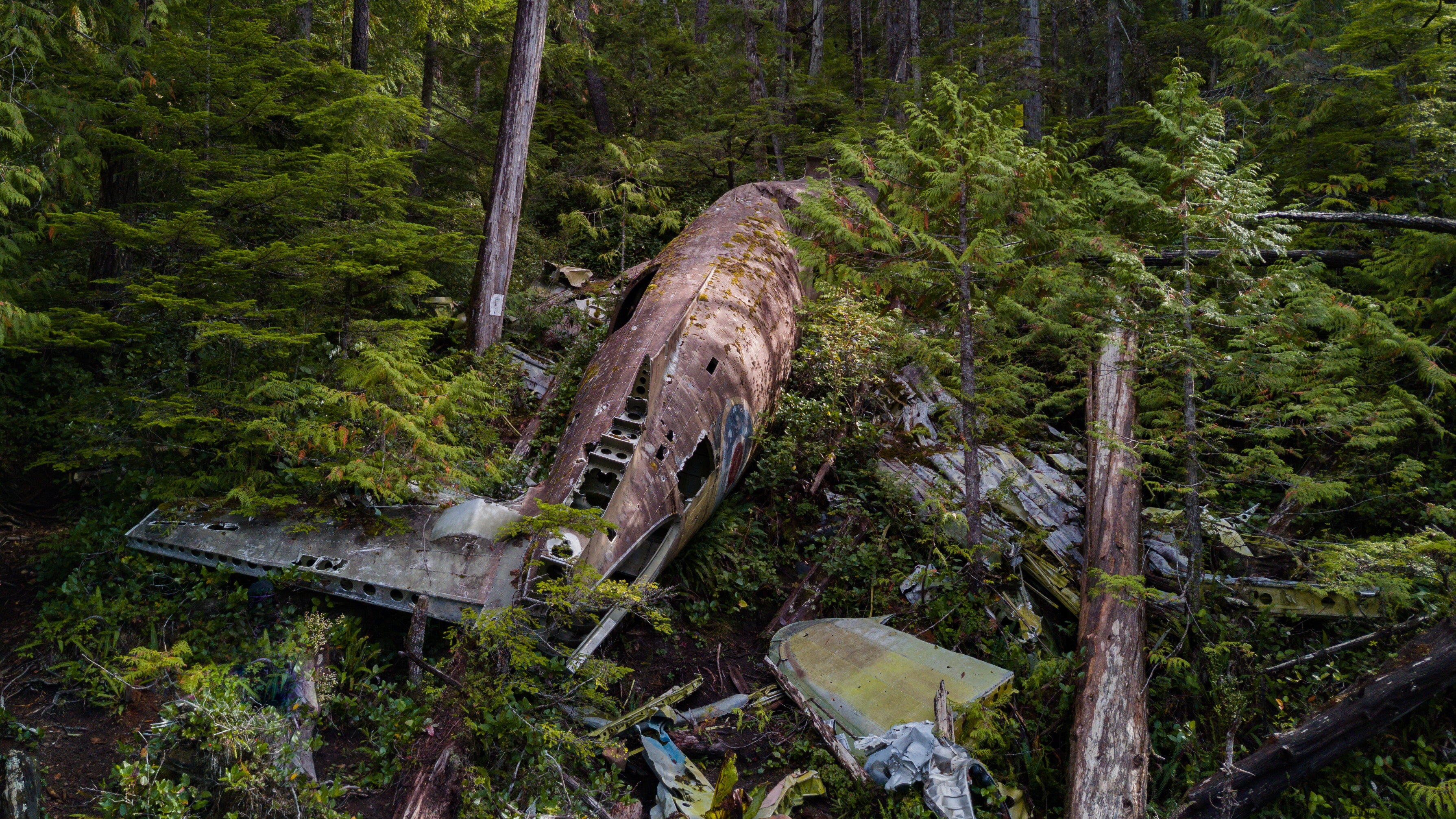 The Port Hardy Dakota 576 Plane Crash Site Trail