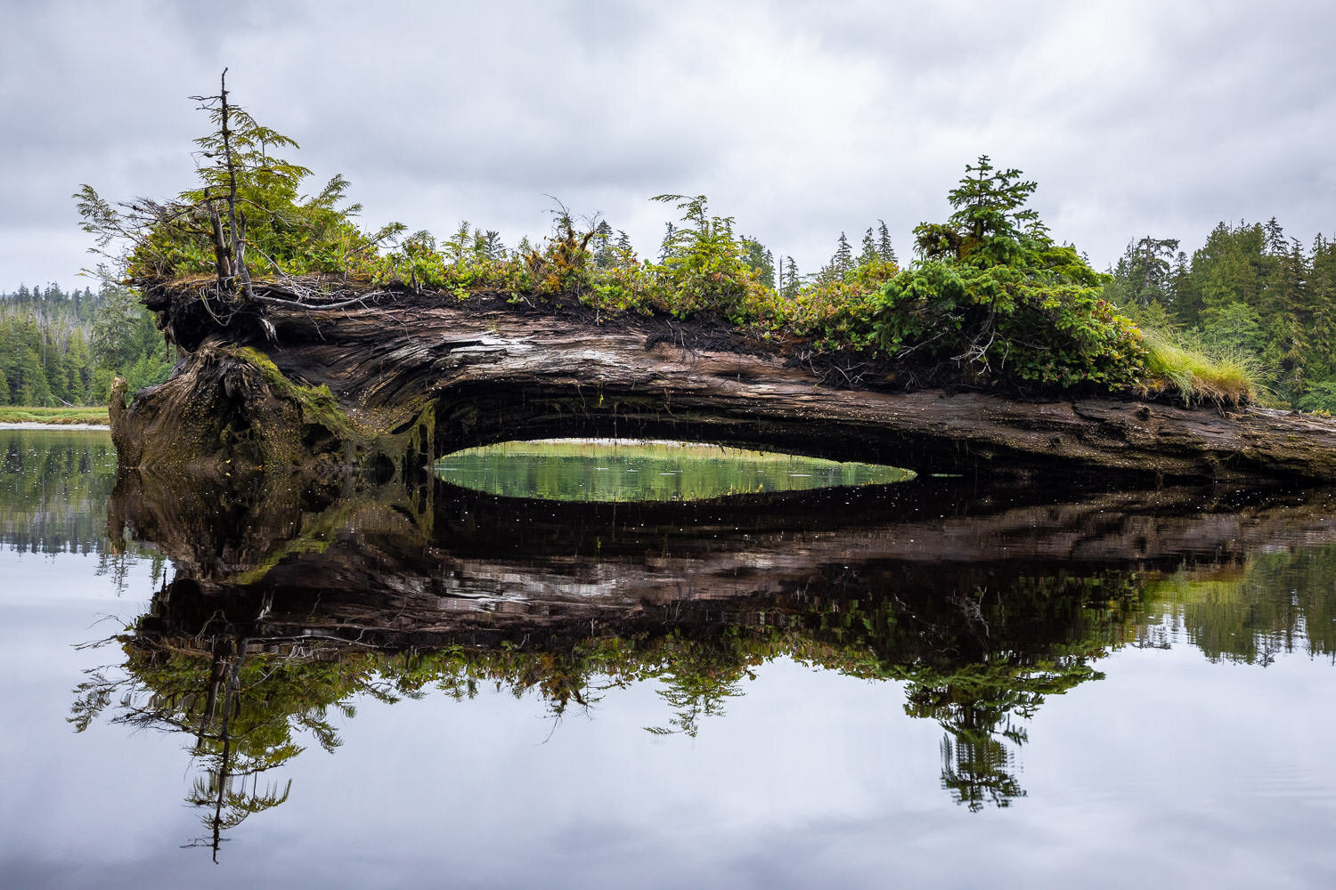 Raft Cove Provincial Park with North Island Cannabis