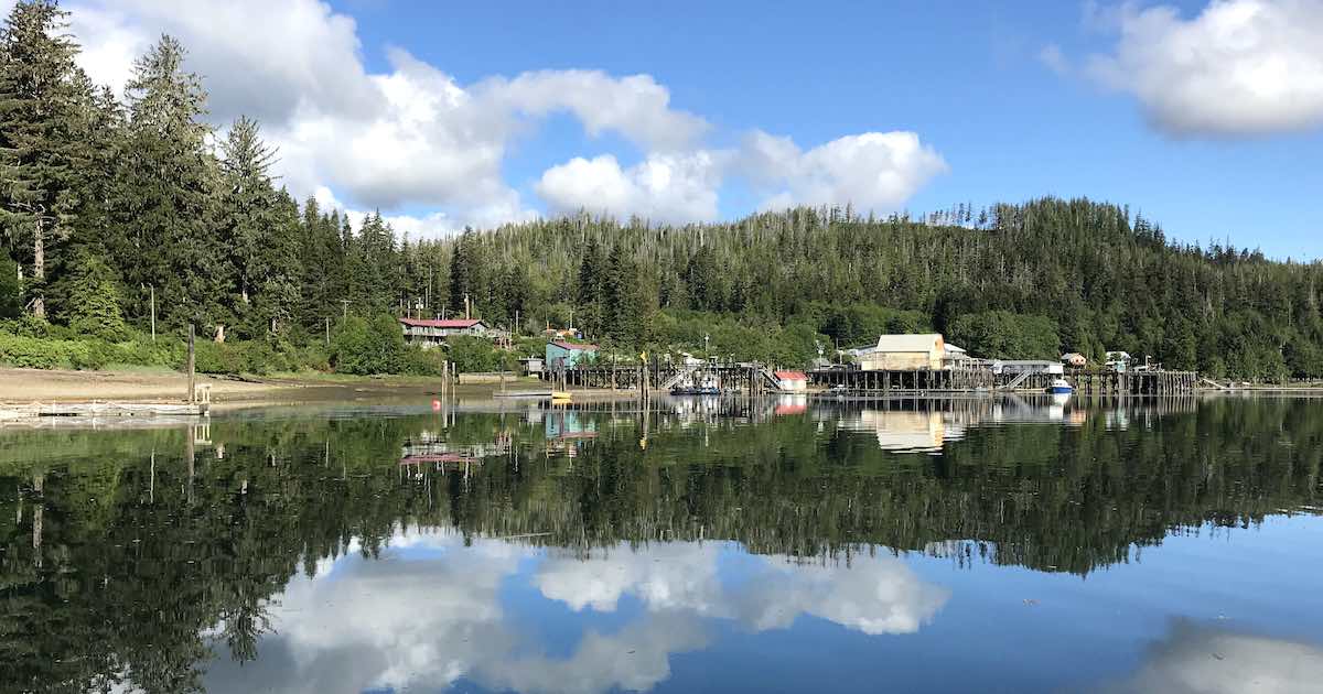 Winter Harbour and North Island Cannabis