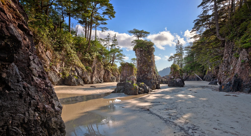 San Josef Bay and Cape Scott Provincial Park