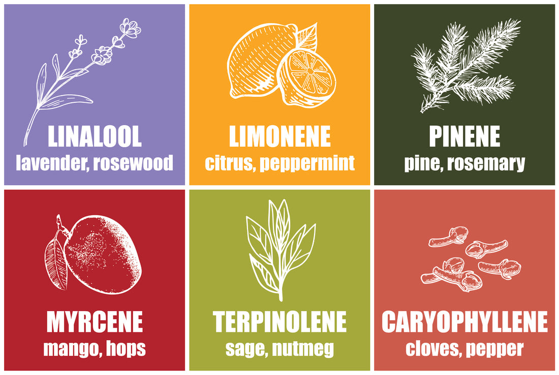 Terpenes Demystified