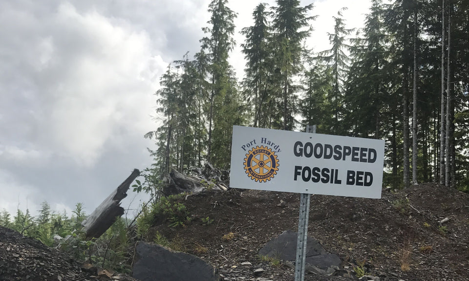 Goodspeed Fossil Bed